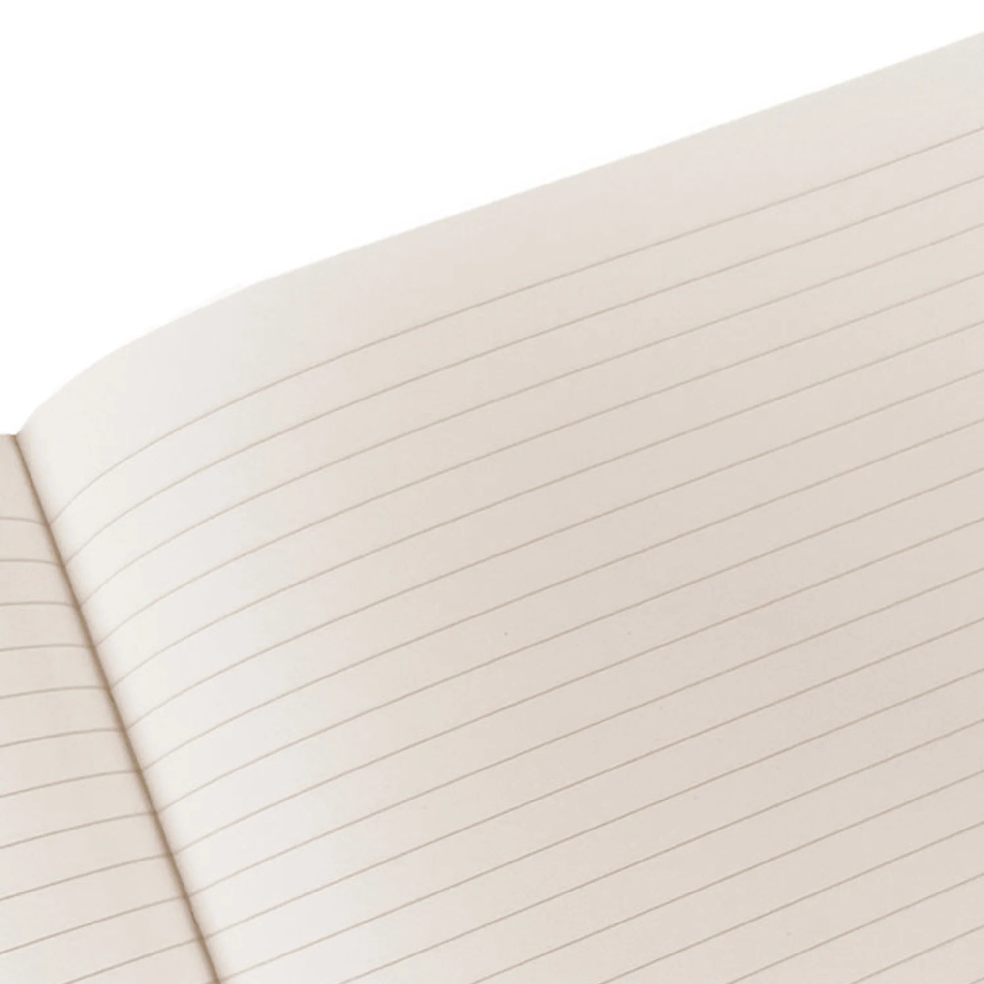Large Bristol Journal - Image 15