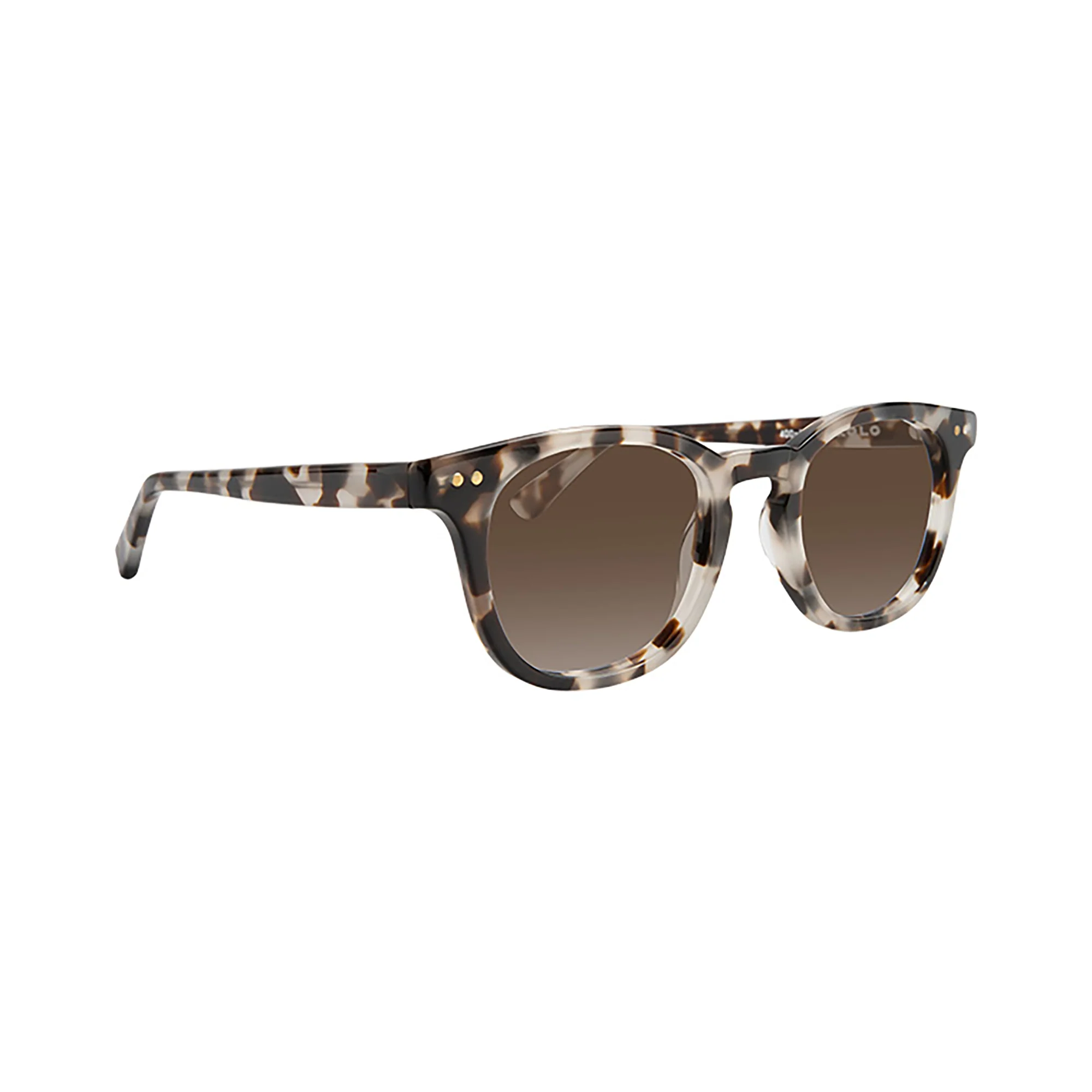 Chester Sunglasses - Image 18