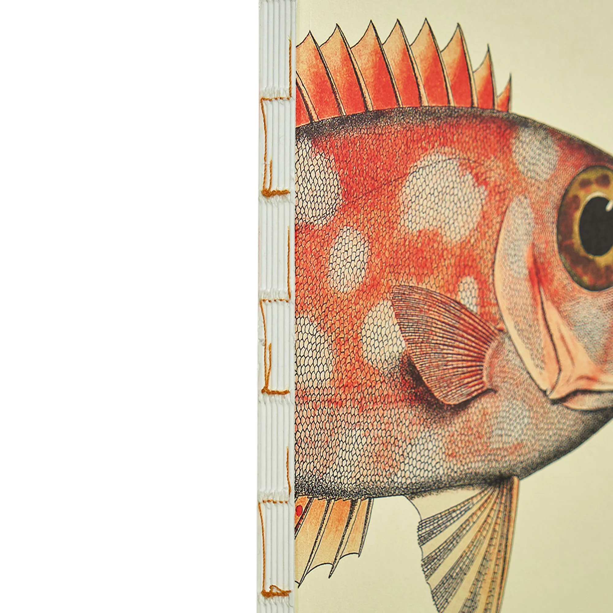 Illustrated Book Series Refills XL - Image 3
