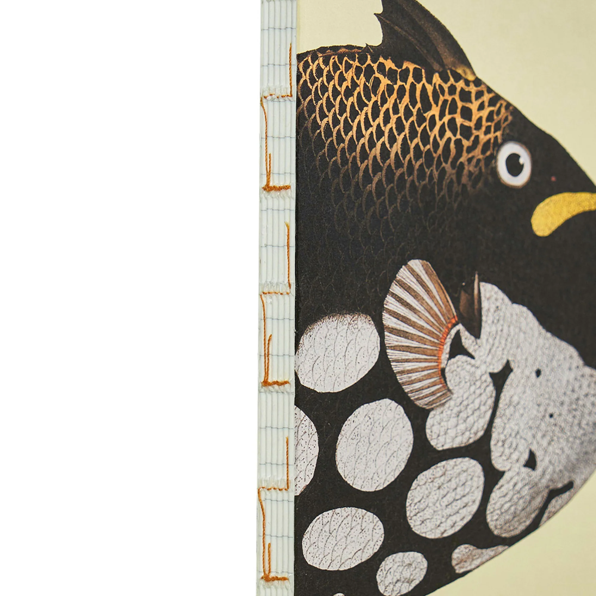 Illustrated Book Series Refills XL - Image 7