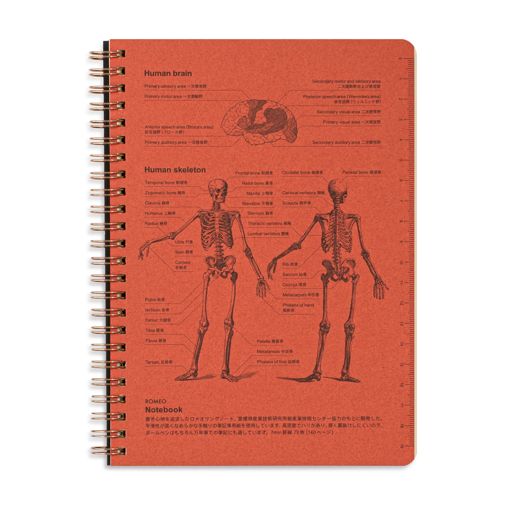 Romeo Notebooks - Image 7