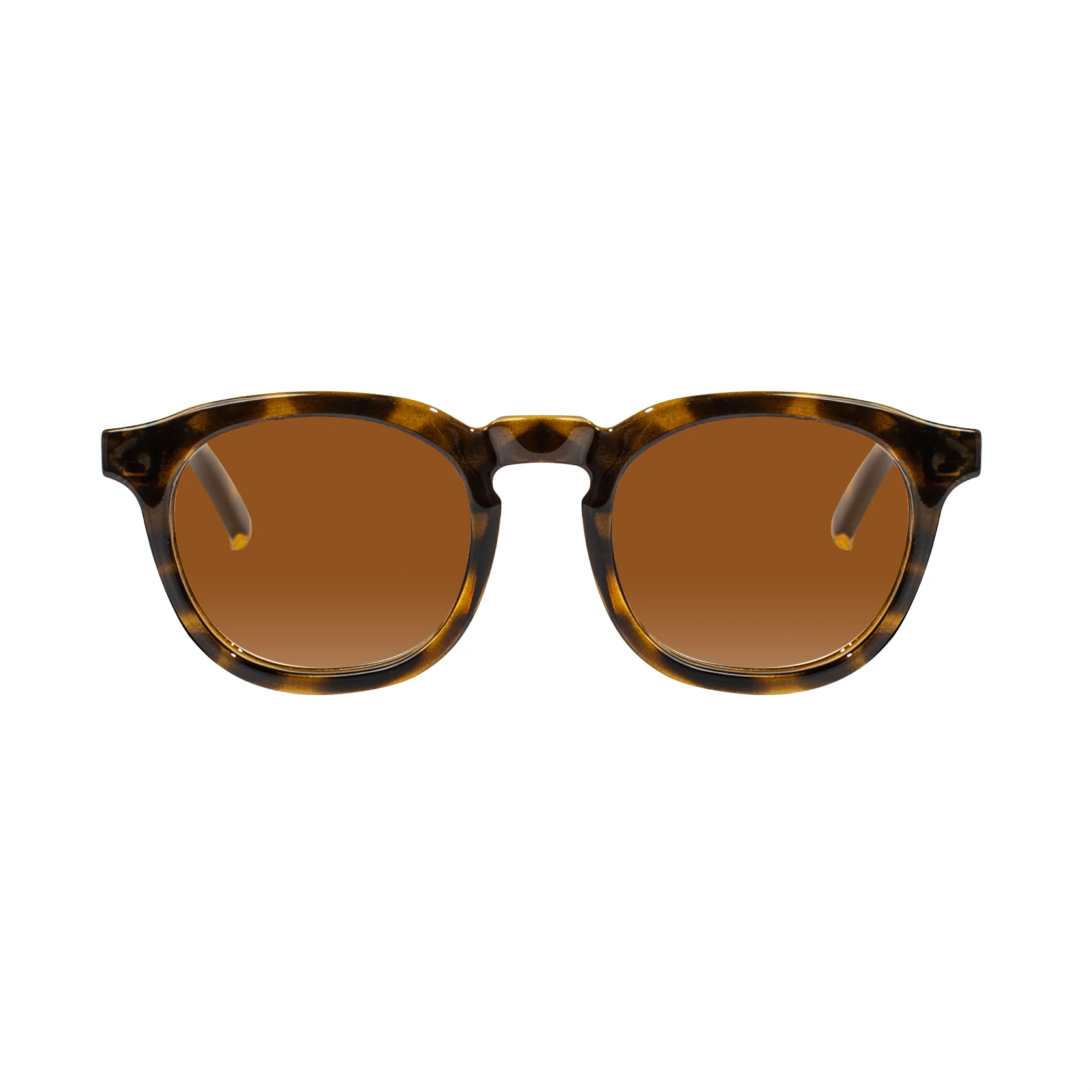 Webster Sunglasses