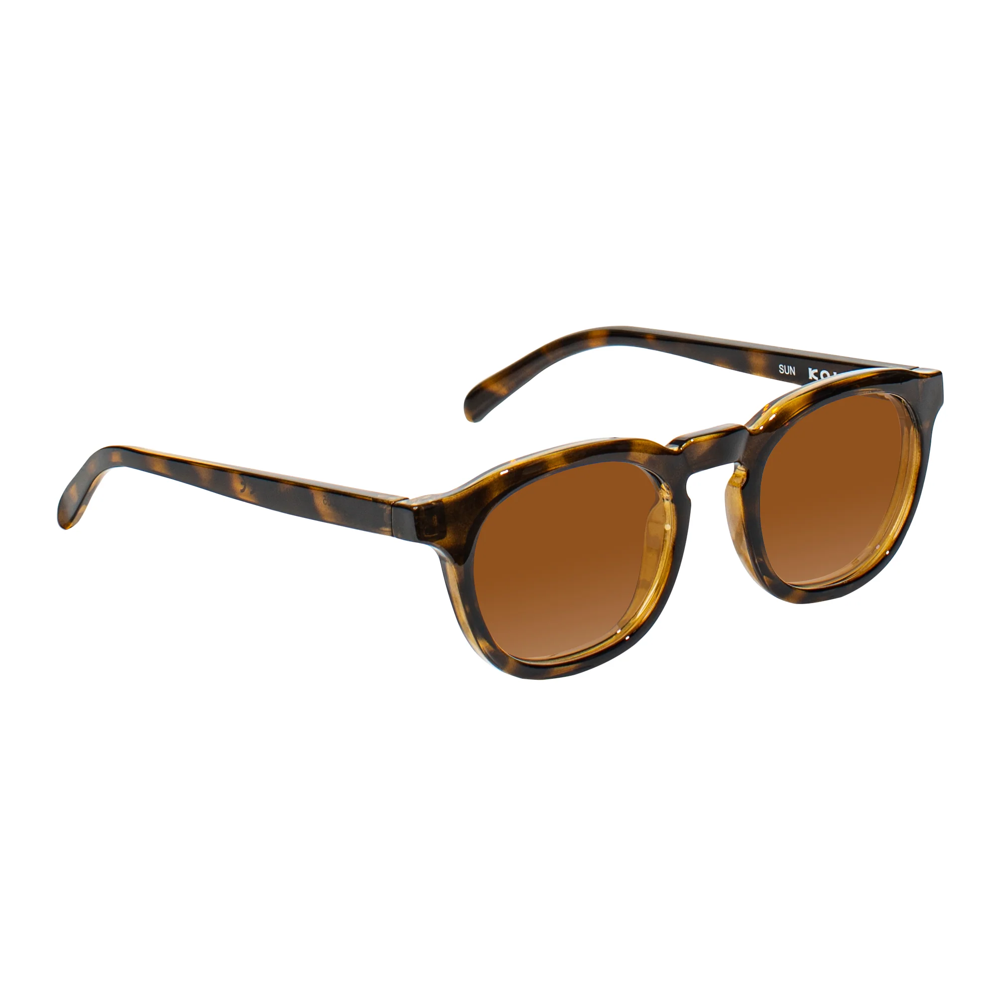 Webster Sunglasses - Image 2