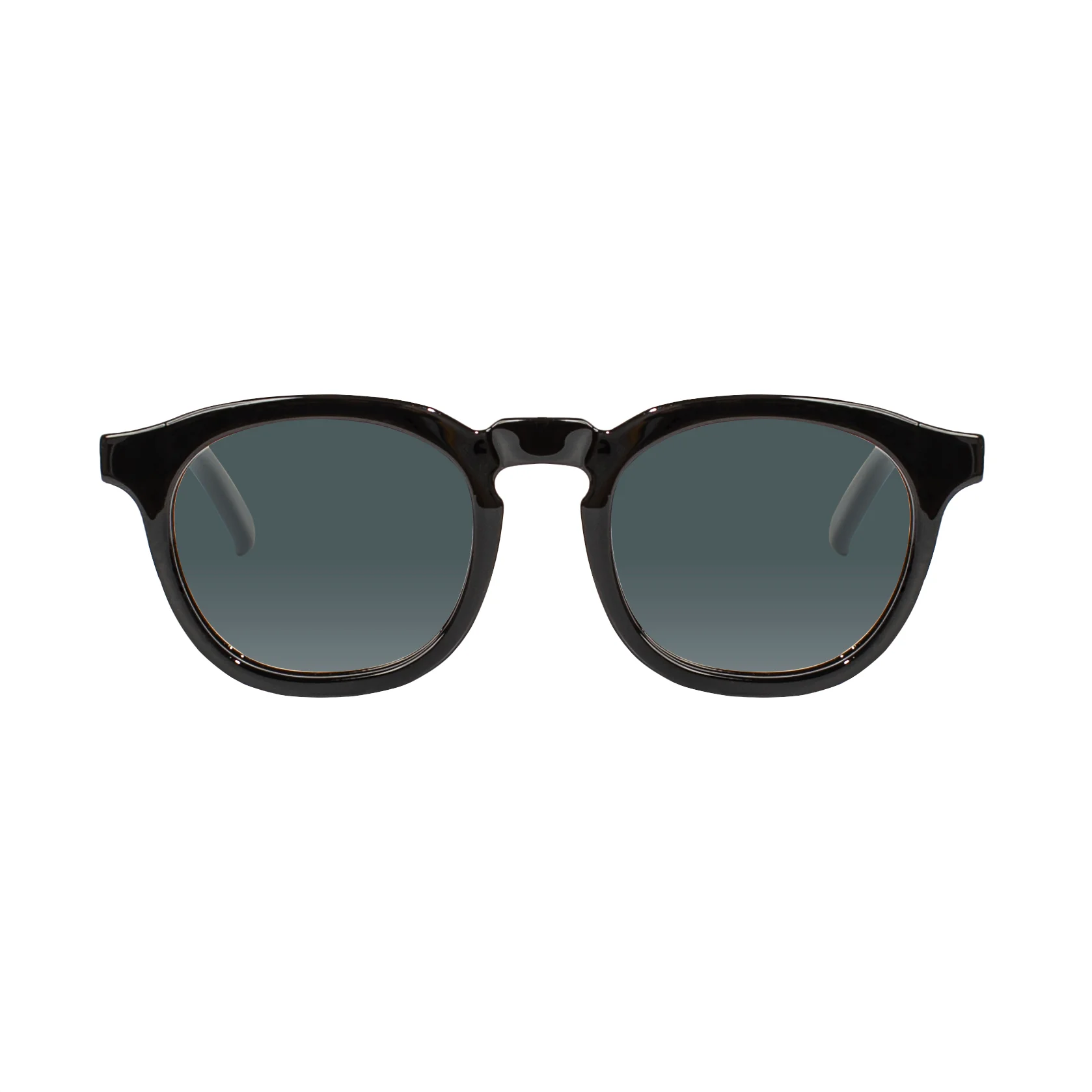 Webster Sunglasses - Image 5